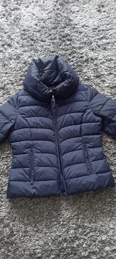 Vetrovka terranova, terranova,l