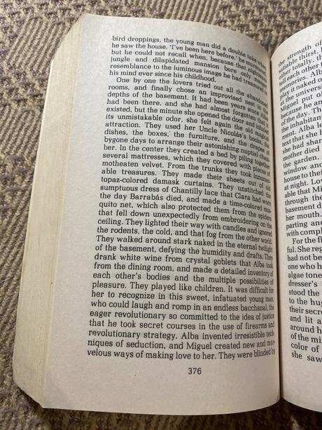 The house of the spirits isabel allende,