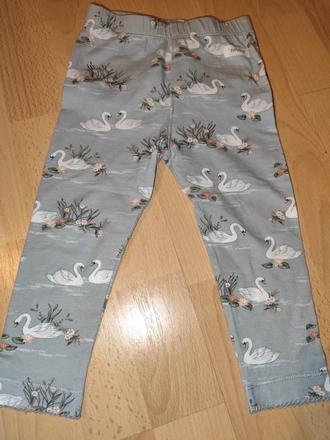 Predám legíny newbie, newbie,80