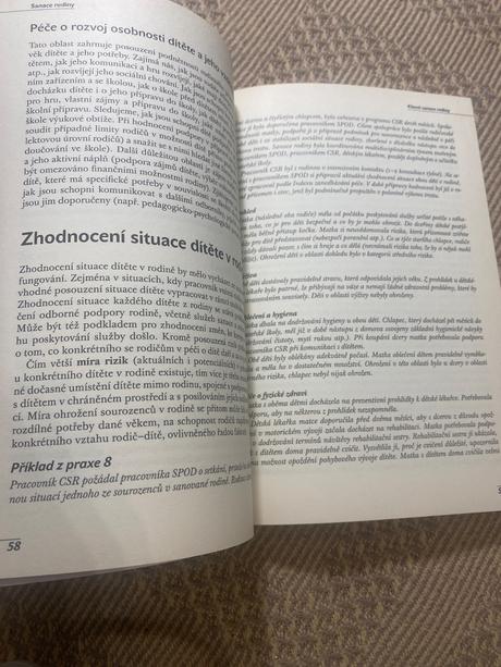 Sanace rodiny sociální práce s dysfunkčními rodina,