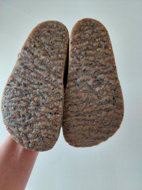 Inovatívne rak papučky, rak,25