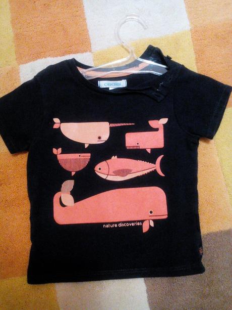 Tricko obaibi, obaibi,74