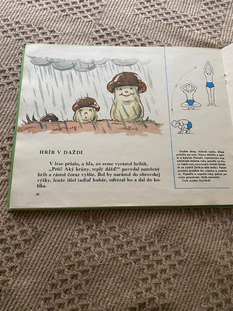 Stará retro kniha emílija krumina to aj my vieme,