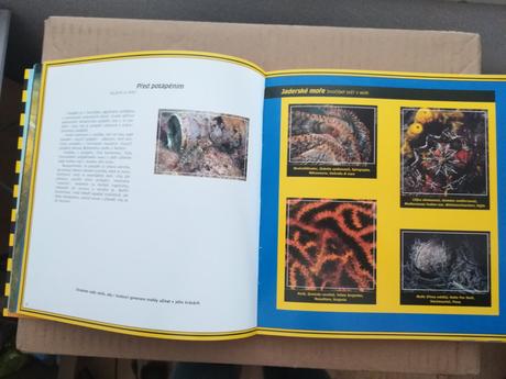 Potápejte se v chorvatsku, 