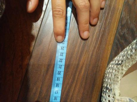 Topanky+kabelka nouchka, 37