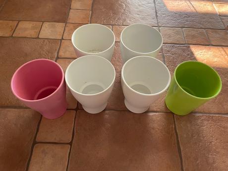 Crepniky na orchidee, 