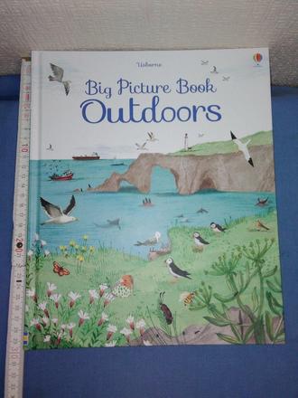 Usborne big picture book outdoors, 
