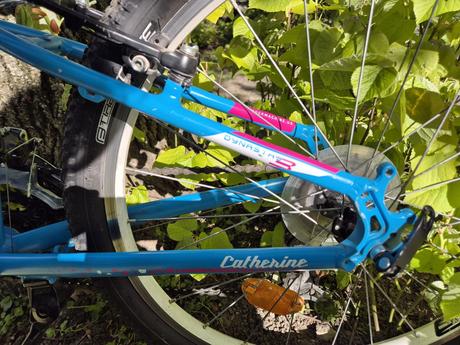 Rock machine catherine, 24