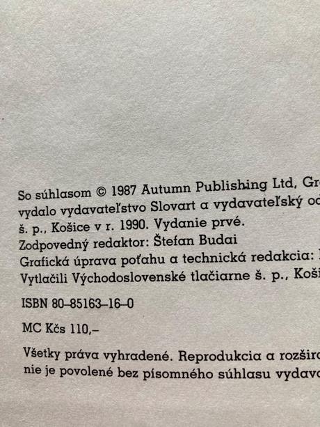 Children's first dictionary (1990), 