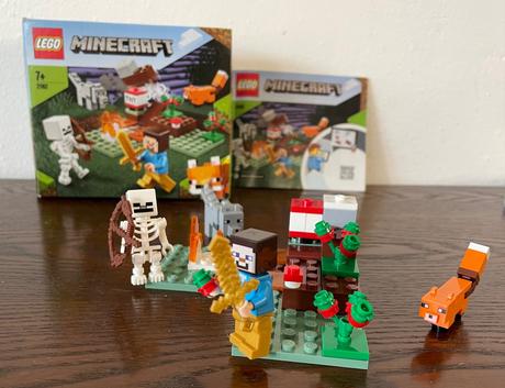 Lego minecraft 21162, 