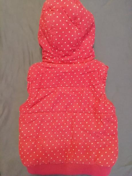 Vesta minnie, disney,104