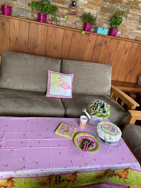 Párty oslava konik, 