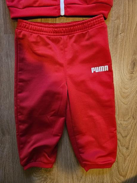 Puma súprava, puma,86