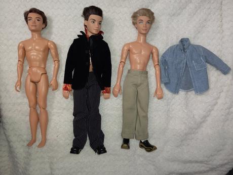 Barbie my scene chlapci ken, 