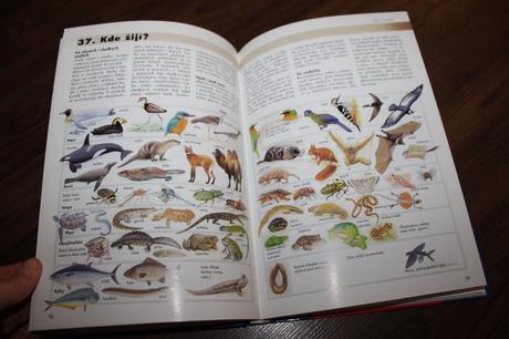 Kniha obrázková encyklopédia malý zvedavec,