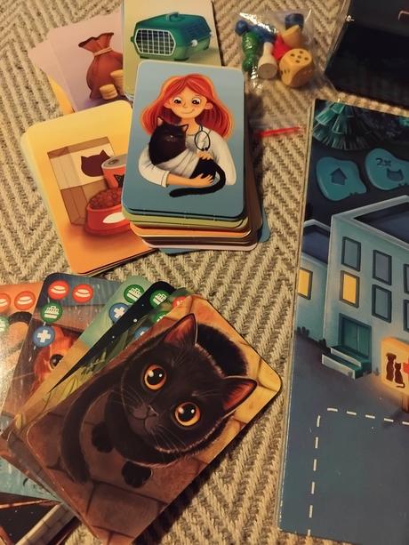 Zachraň mačky z ulice,