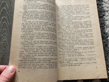 Vrah uteká k hranici (1982),