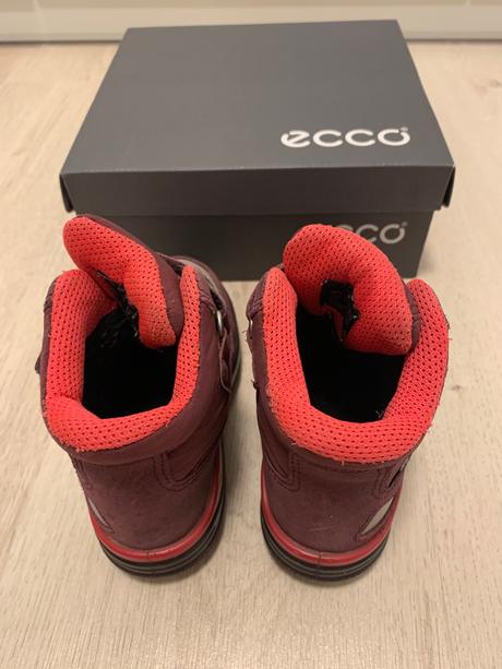 Snehule - ecco, ecco,24