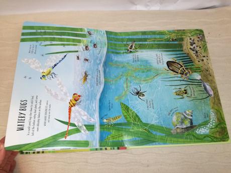 Usborne lift the flap bugs & butterfies  nau19, 