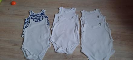 Tielkove body, f&f,74