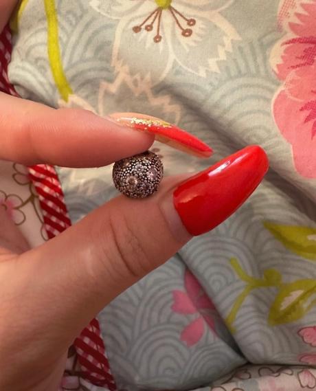 Prívesok pandora, pandora