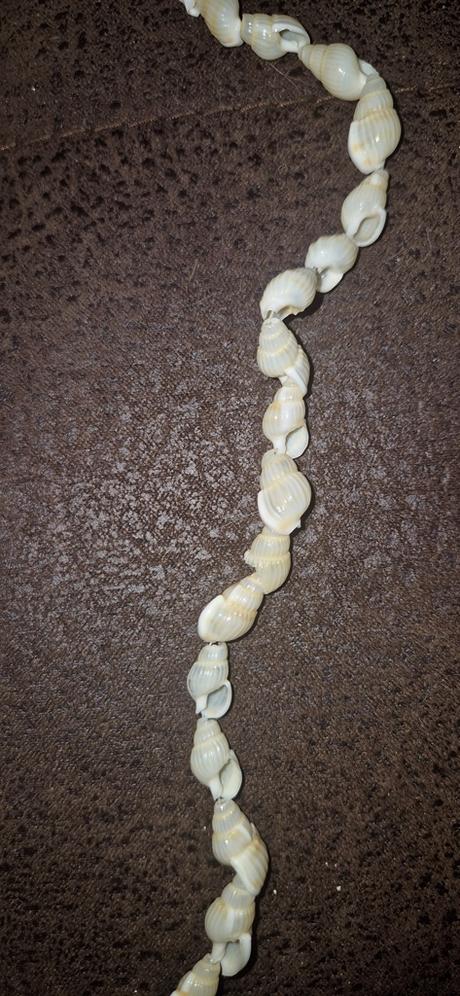 Náhrdelník z mušlí, 