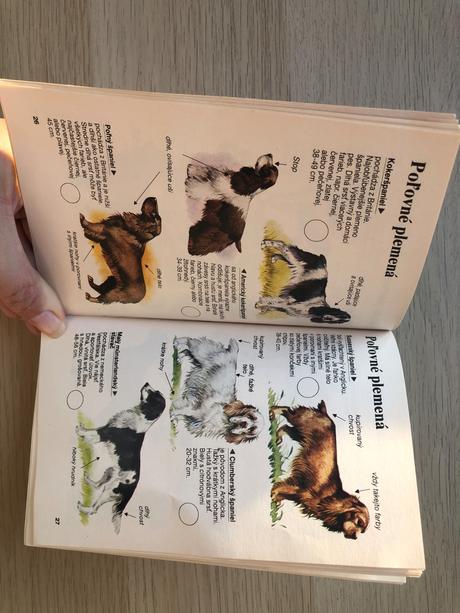 Encyklopédie rôzne,