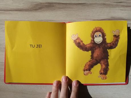 Detská kniha hra na schovávačku,