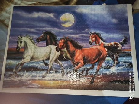 Obraz koňov, 