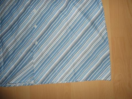 Kosela bledy modry pasik, l