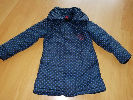 Bodkovaná vetrovka, 104