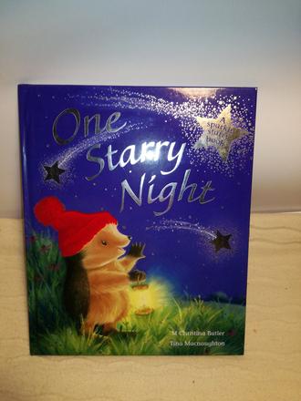 One starry night hb nsu21, 