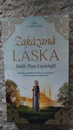 Kniha, 