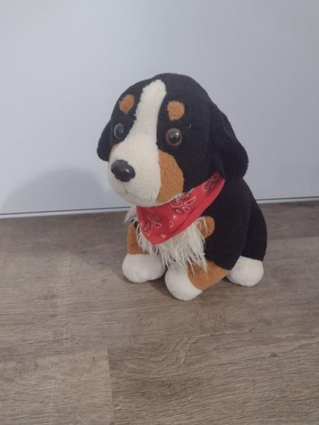 Plyšový psík, 