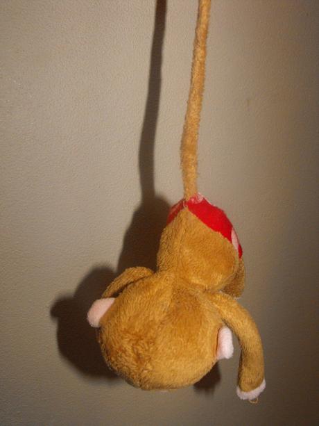 Opica s dlhým chvostom,