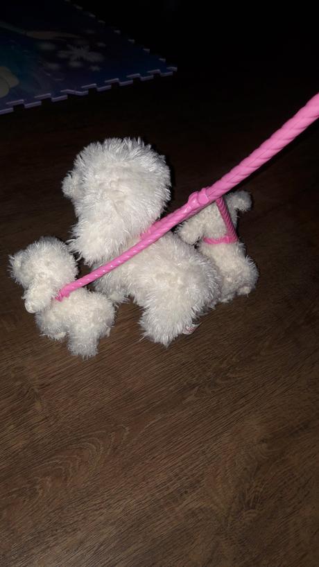 Plyšový psík na vodítku, 