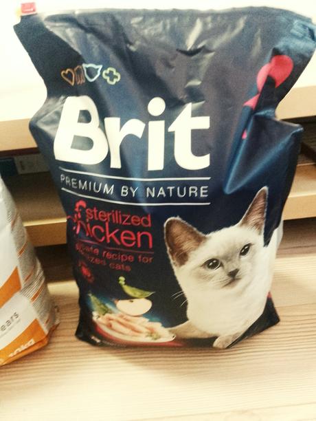 Granule pre mačky 19,7 kg, 