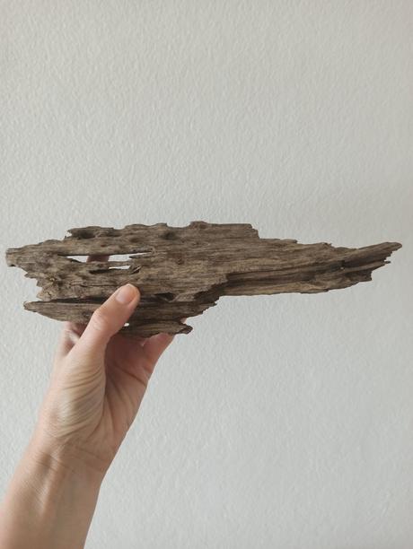 Dekoračný koreň a umelá rastlina,