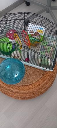 Klietka pre škrečka, 