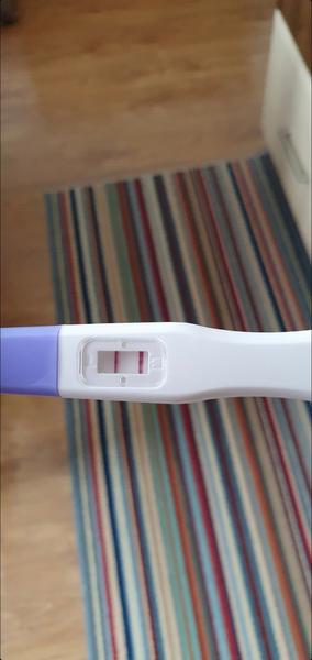 Silné 2 čiarky na teste