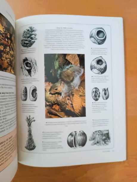 The book of the year, 