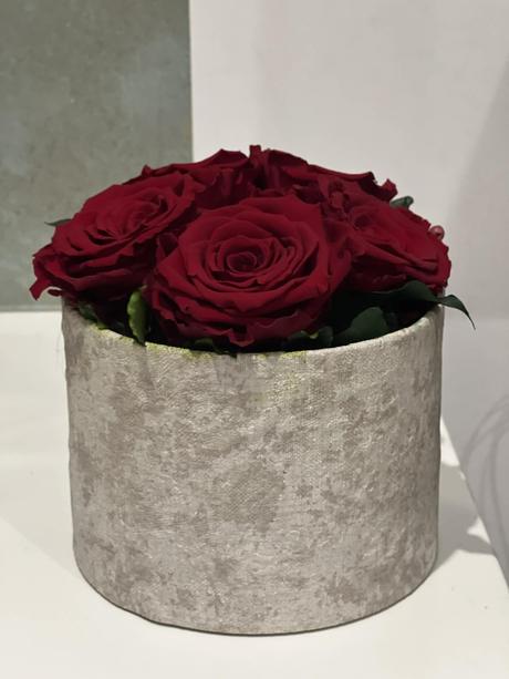 Stabilizované ruže v boxe,