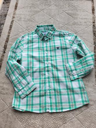 Kosela mayoral, mayoral,110