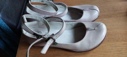 El naturalista č.41, 41