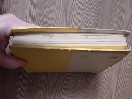 Irving stone - smäd po živote, 