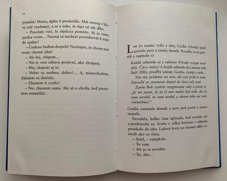 Jostein gaarder - v zrkadle, v záhrade, 