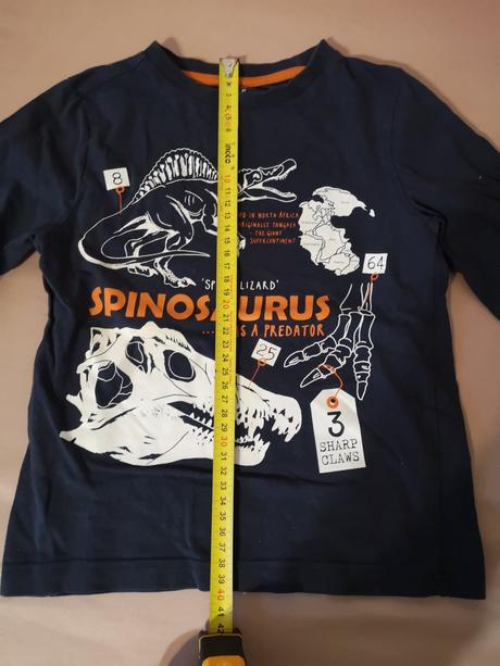 Pulóver dinosaury, f&f,104