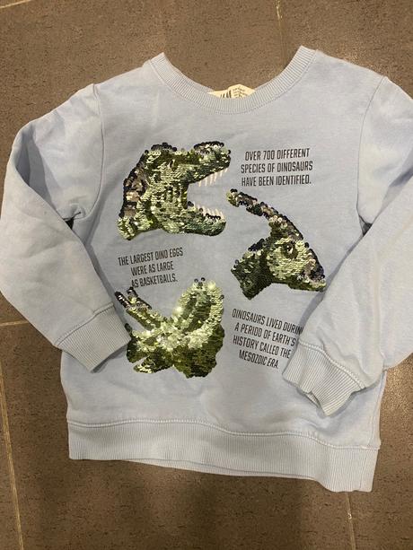 Mikina s dinosaurom, h&m,98
