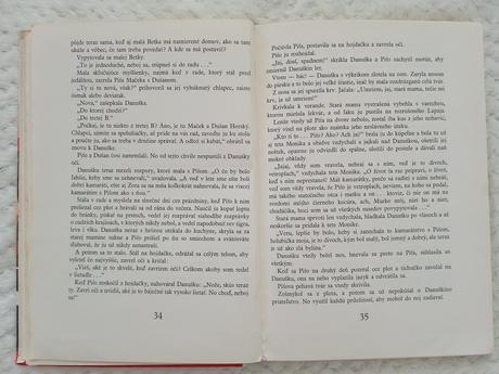 Božena mačingová - danuška,