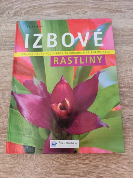 Izbové rastliny - anja flehmig,